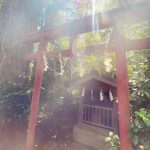 【祈り】 大都会のなか、ここは龍神の巣！？　　氷川赤坂神社・東京