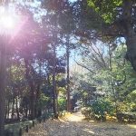 「幸せになる力のヒミツ、それは筋トレ。」森と魂のセラピスト　飯田みゆきコラム No.10