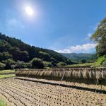 ライトワーク🌟 9月 てんびん座の新月に、新しい地球をむすぶ! 白髭明神は猿田彦大神で、高麗王若光!? あなたは、どなた? 日向神社(白髭神社)・神奈川