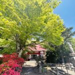 【祈り】地球の声を聴く！　超大陸・ゴンドワナ　ヤミにはヒカリ　それで完成パワフルスポット🌟　　坂東三十三観音霊場　　八溝山（日輪寺）・茨城