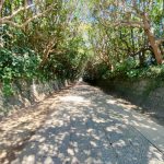 【祈り】アラハバキ神に会いにいく! スクナヒコは薬師如来!? はたまた・・・? 酒列磯前神社・茨城