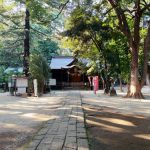 ライトワーク🌟 地球の声を聴く! 祈りの道 氷川レイラインで天地の龍神エネルギーをつなぐ!