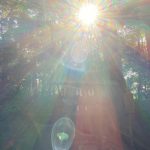 【祈り】うっかり神さん現れた!? はたまた宇宙人!? 光の儀式 光の饗宴 地震を起こす大鯰の頭を押さえる要石に会いにいく! 茨城県・鹿島神宮
