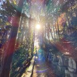 【祈り】天からの道 天への道 扉のある場所 すべては大宇宙のストーリー 閼伽井嶽薬師 常福寺・福島県