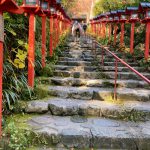 ライトワーク🌟　夢うつつの一日！　鞍馬山のあとは、貴船に鎮まる龍神に水の氣をいただく！　　　貴船神社・京都