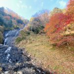 【祈り】海底から現れた荒ぶる黒い龍は修練中！　長い時を経て生命エネルギーへと変性していった！　　旭滝_大平神社・静岡