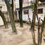 ライトワーク🌟 星を集めて宇宙を創る! 君の名は、アラハバキ神!? 坐摩神社 〜 サムハラ神社・大阪